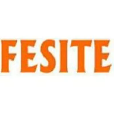 Шины Fesite: Особенности, Преимущества и Недостатки